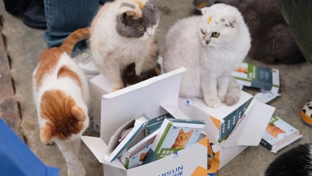 给TA佳倍的爱公益妄想